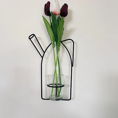 Apartment Gioia's House